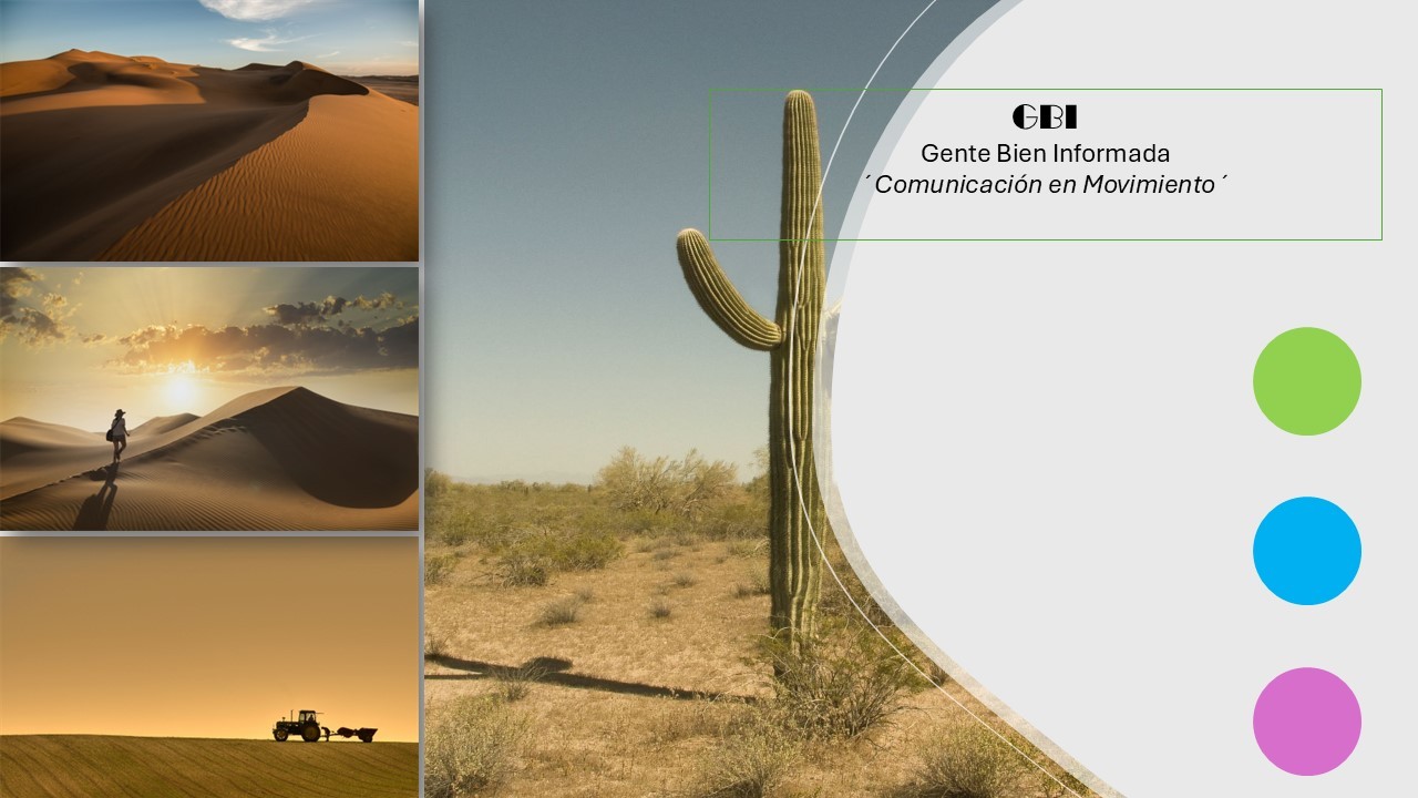 DECORACIÓN DE OFICINAS